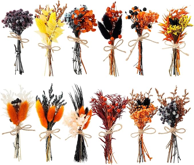 10/12/24/36 Pack Mini Dried Flowers for Vase Wedding Various Mini Bouquet Dried Small Wildflowers Natural Flowers Bulk for Crafts DIY Decor (12, Orange Black 2)