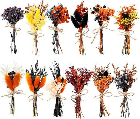 10/12/24/36 Pack Mini Dried Flowers for Vase Wedding Various Mini Bouquet Dried Small Wildflowers Natural Flowers Bulk for Crafts DIY Decor (12, Orange Black 2)