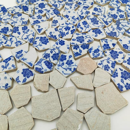 1.1 LB Porcelain Ceramic Mosaic Tiles,Broken Irregular Mosaic Tiles for DIY Craft Floor,Kitchen,Pool, Flower Pots Mosaic Making Supplies (Porcelain 01)