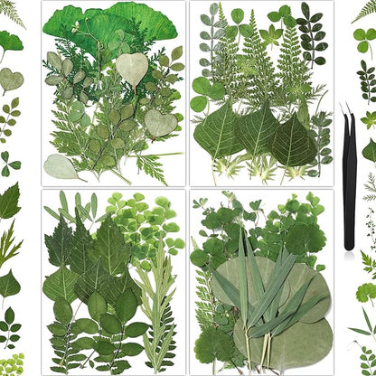 86Pcs Dried Pressed Flowers Leaves for Crafts, Real Natural Dried Leaves Pressed Leaves Bulk Dry Leaves for Resin, DIY Art, Jewelry, Candle & Soap Making, Scrapbook Bookmarks Ideas – Tweezers Included
