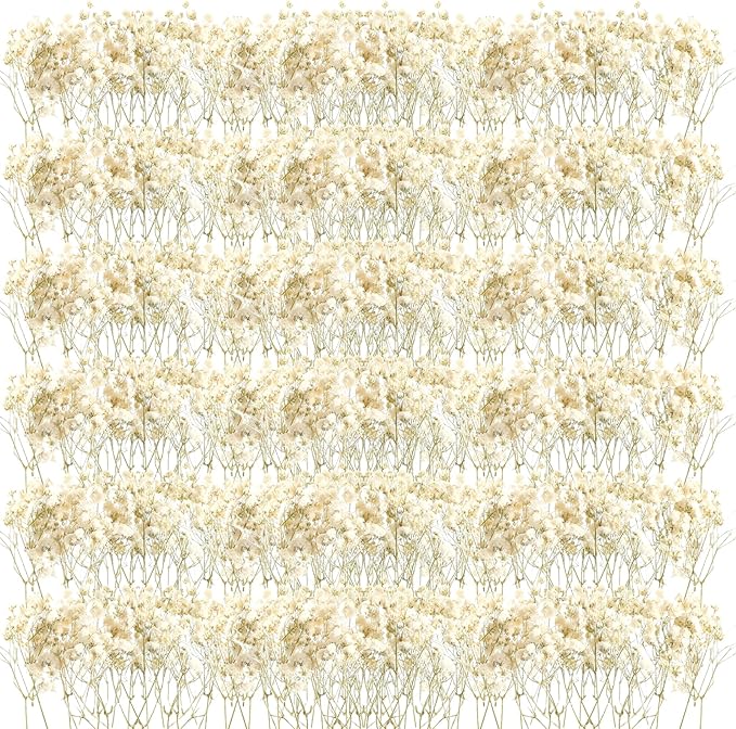 Fumete 300 Pcs Christmas Mini Dried Baby Breath Flowers Wedding Ivory Natural Flowers Bulk Dried Gypsophila for Vase Bride Shower Invitation Card DIY Candle Making Decor Craft Party Resin Art, 2-4 in