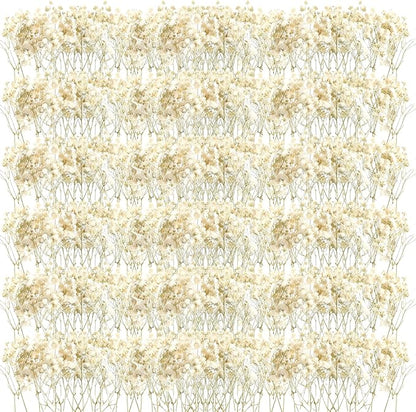 Fumete 300 Pcs Christmas Mini Dried Baby Breath Flowers Wedding Ivory Natural Flowers Bulk Dried Gypsophila for Vase Bride Shower Invitation Card DIY Candle Making Decor Craft Party Resin Art, 2-4 in
