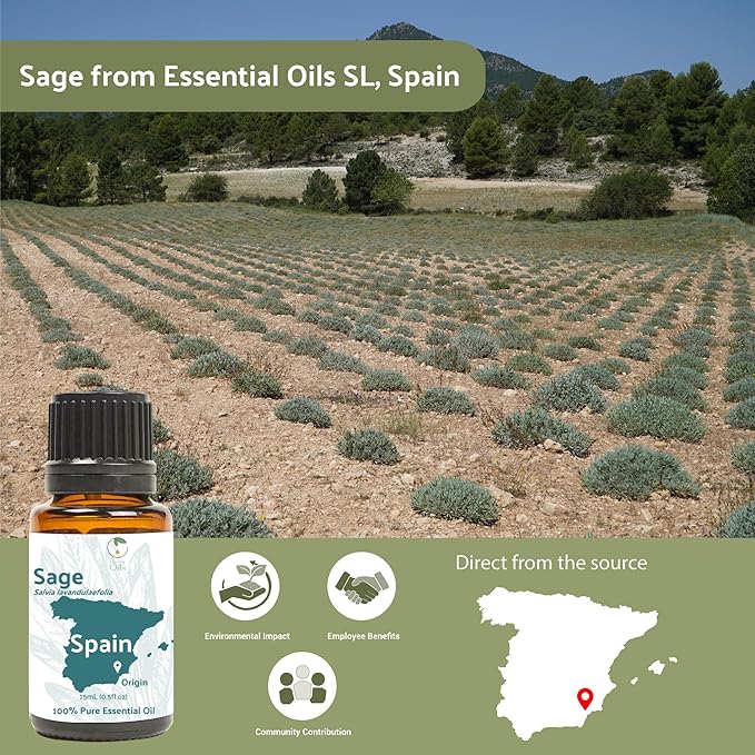 Nature Packaged Sage Essential Oil - Direct from Essential Oils SL Spain - Steam Distilled - Aceite Esencial de Salvia for Aromatherapy, Massage, Diffuser, DIY Candle and Soap Making - 15ml