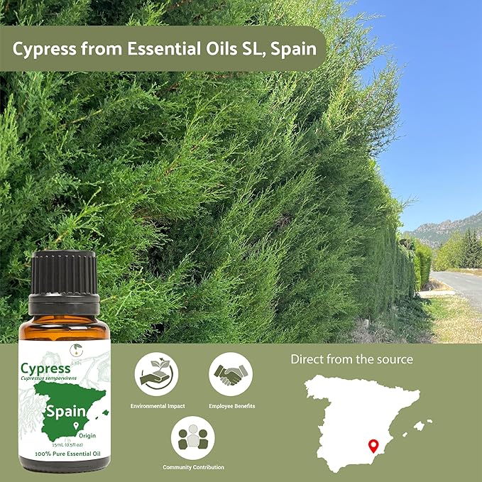 Nature Packaged Cypress Essential Oil - Direct from Essential Oils SL in Mediterranean Spain - Aceite de Ciprés for Diffuser, 100% Pure Therapeutic Grade - Aromatheraphy, Skincare (22lbs)