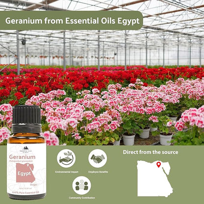 Nature Packaged Geranium Essential Oil - Direct from Egypt Nile Delta - Pure Essential Oils for Body, Skincare & Balance - Natural Aceite de Geranio - 100% Pure Therapeutic Grade (15ml)