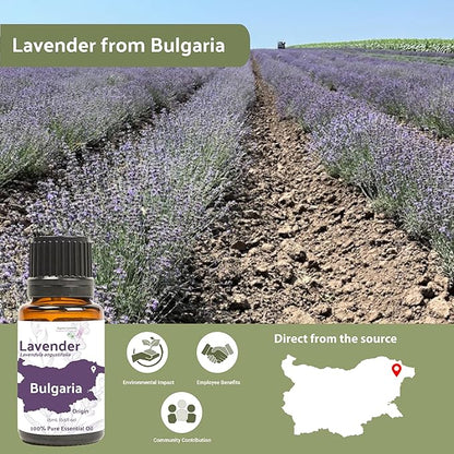 Nature Packaged Lavender Oil - Bulgarian Essential Oils - Lavender Diffuser - Pure Therapeutic Grade (8oz)
