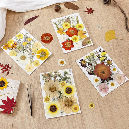 85Pcs Boho Dried Flowers for Crafts, Real Natural Pressed Flowers for Crafts Vintage Dried Pressed Flowers Dry Leaves for Resin, DIY Art, Scrapbook, Jewelry, Candle & Soap Making – Tweezers Included