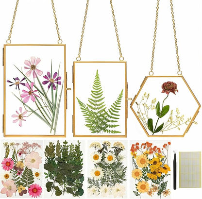 Relaxing Garden Pressed Flower Craft Kit for Adults & Women, DIY Floating Double Glass Frame Kit with Real Dried Flowers, Handmade Gift Art Project for Home Décor, Keepsake & Creative Crafts